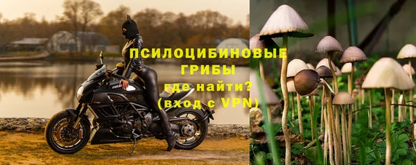 мдпв Нефтегорск